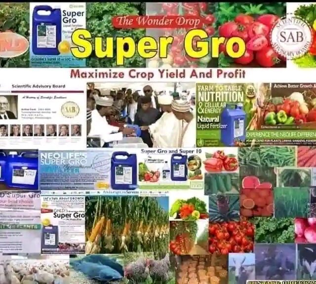 GNLD NEOLIFE SUPER GRO liquid fertilizers