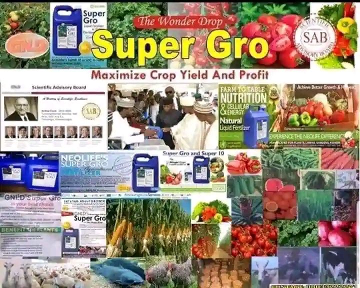 GNLD NEOLIFE SUPER GRO liquid fertilizers