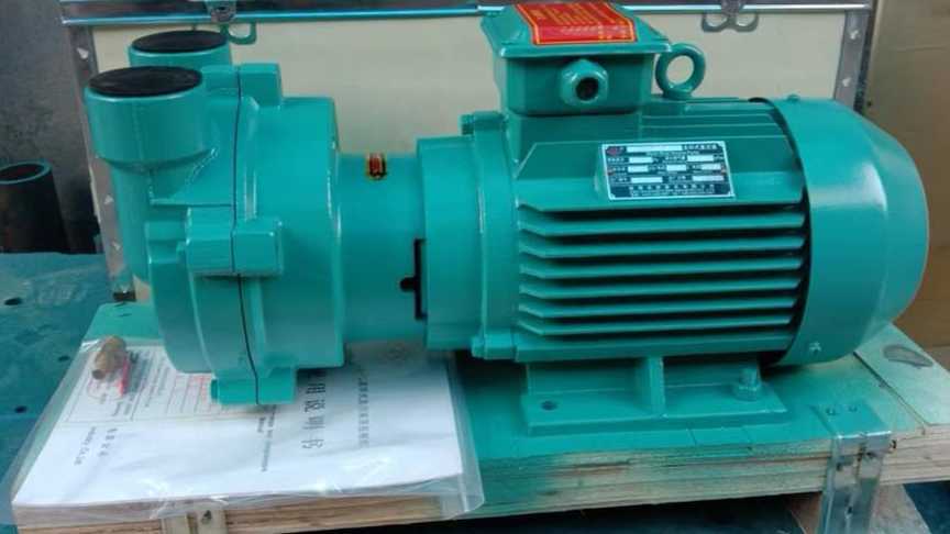Watering vacuum pump