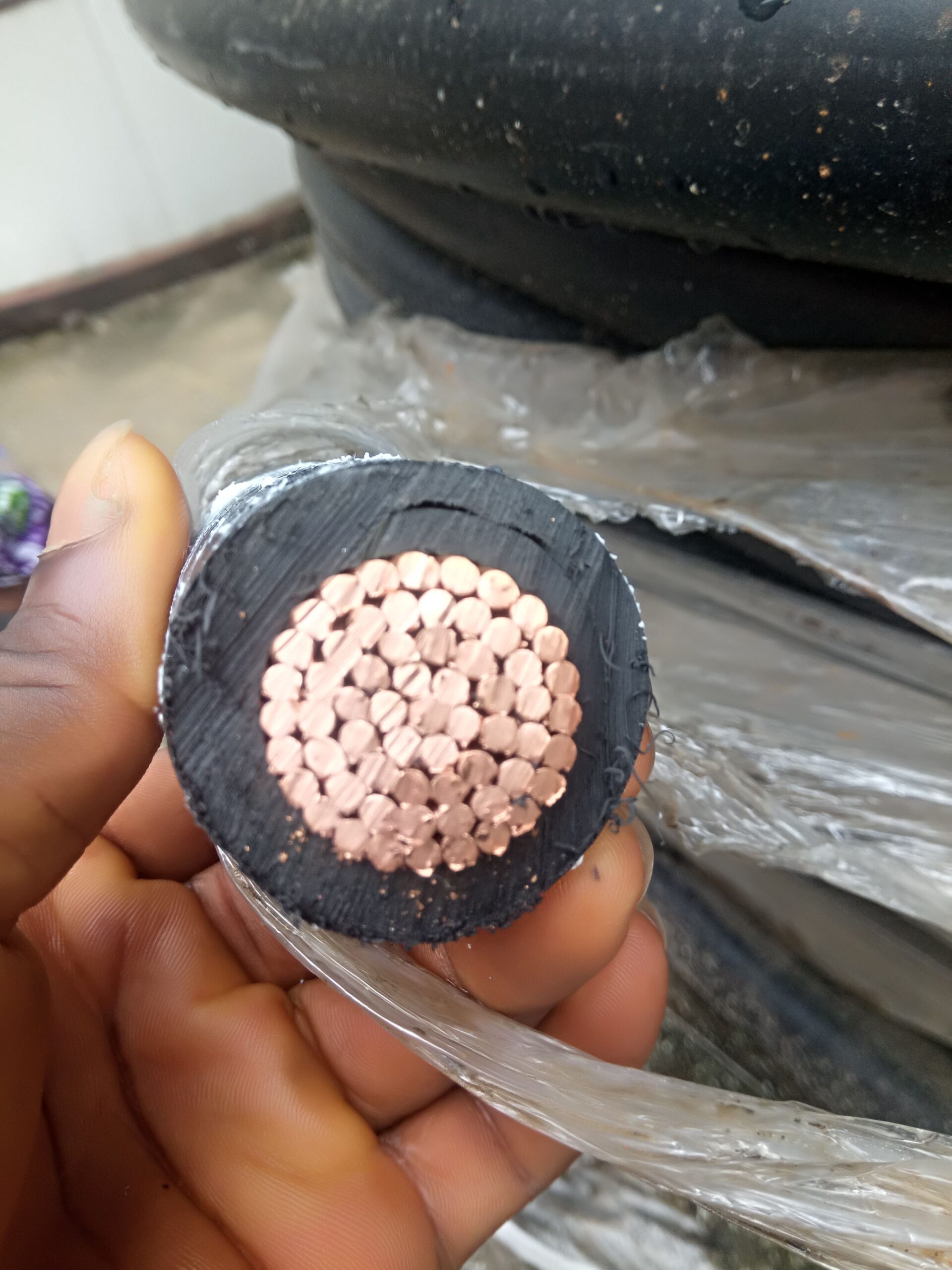 500mm single PVC/PVC Cable
