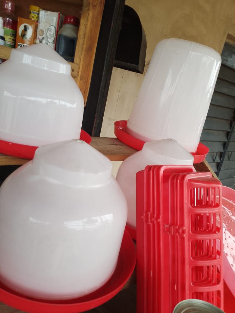 Mimifeeds deals in all kind of animal feeds, and accessories,also