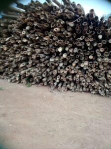 f1a21ce4-9d41-4931-9fa8-2c693a28efdc