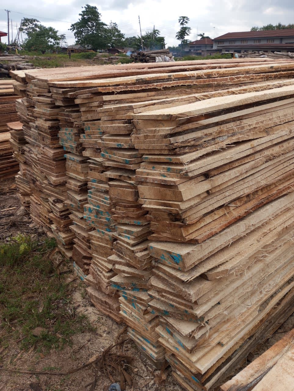 Strong Bamboo for Construction For Sell at Ikorodu
