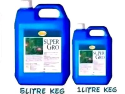 6d6cb1bb-a225-41bb-9bd9-9770ca3929dc
